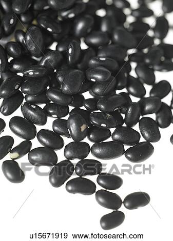 Food - Black Turtle Beans View Large Photo Image Stock Photo - Food - Black Turtle Beans. Fotosearch