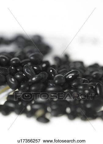 Food - Black Turtle Beans View Large Photo Image Stock Photo - Food - Black Turtle Beans. Fotosearch