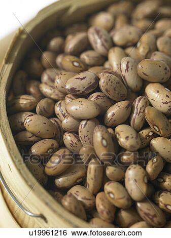 Food - Borlotti Beans View Large Photo Image Stock Photograph - Food - Borlotti Beans. Fotosearch