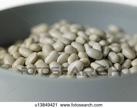 Haricot Beans View Large Photo Image Stock Image - Haricot Beans. Fotosearch