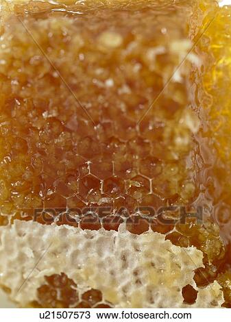 Stock Image - Honey Comb. Fotosearch