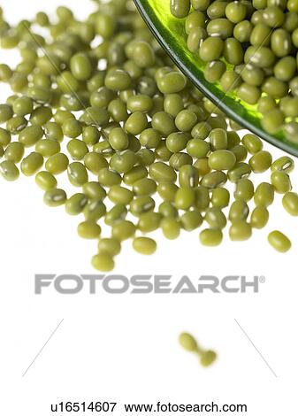Mung Beans View Large Photo Image Stock Photo - Mung Beans. Fotosearch