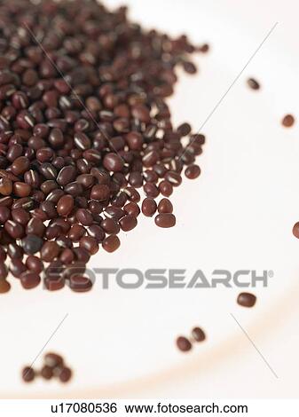 Pile of Aduki beans View Large Photo Image Stock Photograph - Pile of Aduki beans. Fotosearch
