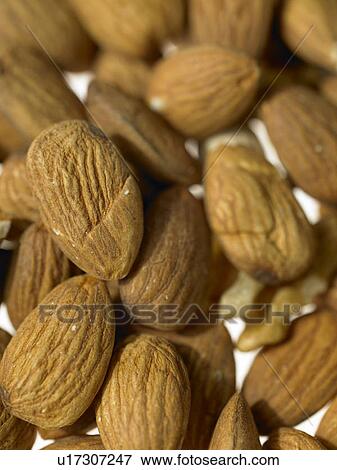 Stock Photo - Pile of Almonds. Fotosearch