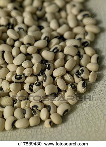 Pile of black-eyed beans View Large Photo Image Stock Image - Pile of black-eyed beans. Fotosearch