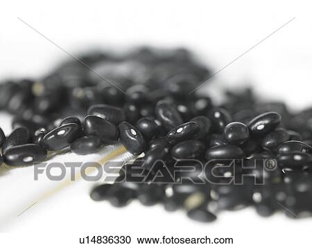 Pile of Black Turtle Beans View Large Photo Image Stock Image - Pile of Black Turtle Beans. Fotosearch