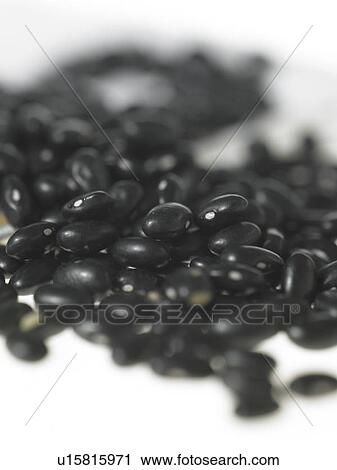 Pile of black turtle beans View Large Photo Image Stock Image - Pile of black turtle beans. Fotosearch