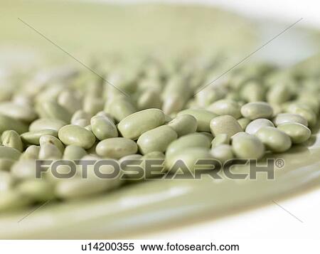 Stock Photography - Pile of Flageolet Beans. Fotosearch