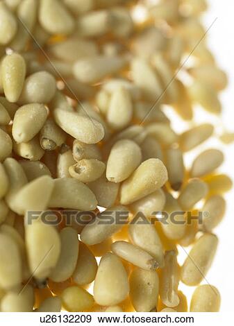 Pile of Pine Nuts View Large Photo Image Stock Photo - Pile of Pine Nuts. Fotosearch