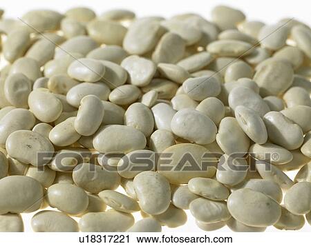 Pile of white Butter Beans View Large Photo Image Stock Image - Pile of white Butter Beans. Fotosearch