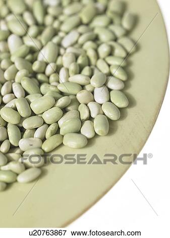Stock Photo - Plate of flageolet beans. Fotosearch