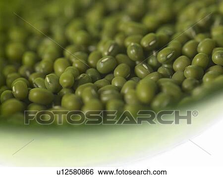 Stock Photograph - Plate of Mung Beans. Fotosearch