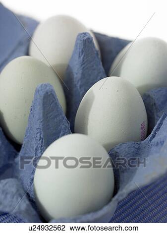 Raw Foods, Eggs View Large Photo Image Stock Image - Raw Foods, Eggs. Fotosearch