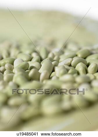 Stock Image - Raw Foods, Flageolet Beans. Fotosearch