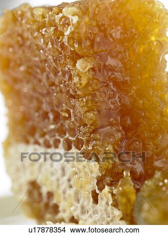 Picture - Raw Foods, Honey Comb. Fotosearch