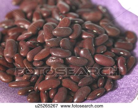 Stock Photo - Red Kidney Beans. Fotosearch
