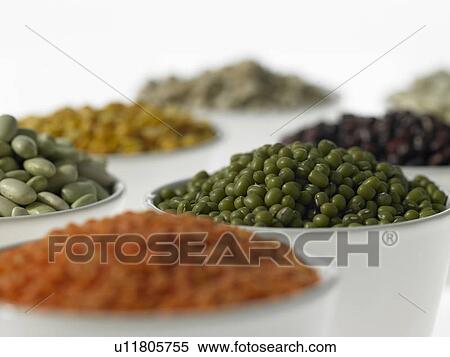 Seven bowls of various Beans View Large Photo Image Stock Photography - Seven bowls of various Beans. Fotosearch