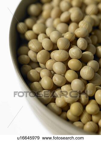 Soya beans View Large Photo Image Stock Photo - Soya beans. Fotosearch