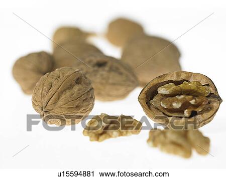 Stock Image - Walnuts. Fotosearch