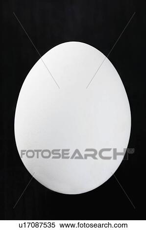 Stock Photography - Close-up of an egg. Fotosearch