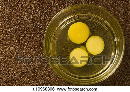 Stock Photograph - Close-up of egg yolks in a glass bowl. Fotosearch