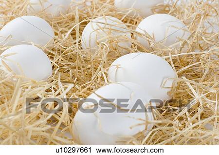 Stock Image - Close-up of eggs. Fotosearch