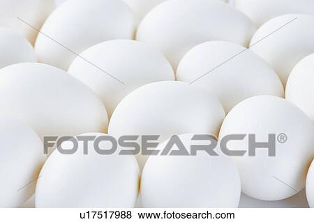 Close-up of eggs View Large Photo Image Stock Photo - Close-up of eggs. Fotosearch