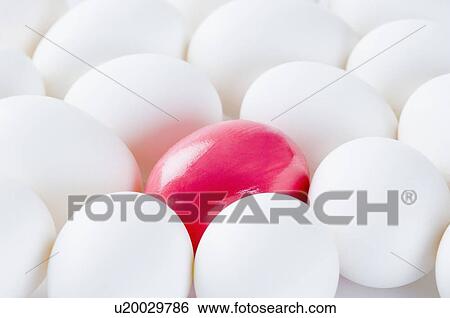 Close-up of eggs View Large Photo Image Stock Photograph - Close-up of eggs. Fotosearch