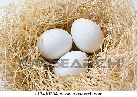 High angle view of three eggs in a bird's nest View Large Photo Image Picture - High angle view of three eggs in a bird's nest. Fotosearch