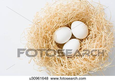 Stock Photo - High angle view of three eggs in a bird's nest. Fotosearch
