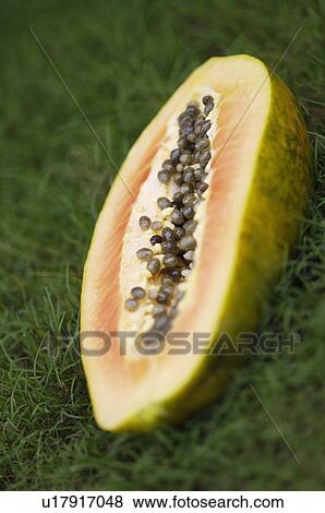 Stock Photo - Close-up of a half papaya. Fotosearch