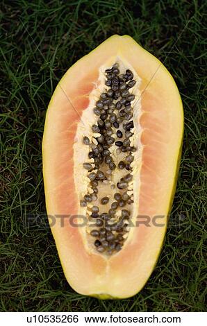 Close-up of a half papaya View Large Photo Image Stock Photograph - Close-up of a half papaya. Fotosearch