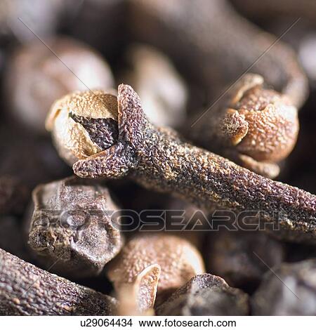 Close-up of cloves and black peppercorns View Large Photo Image Picture - Close-up of cloves and black peppercorns. Fotosearch