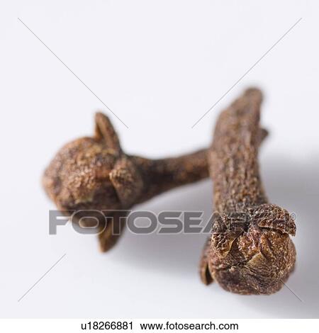 Stock Image - Close-up of two cloves. Fotosearch