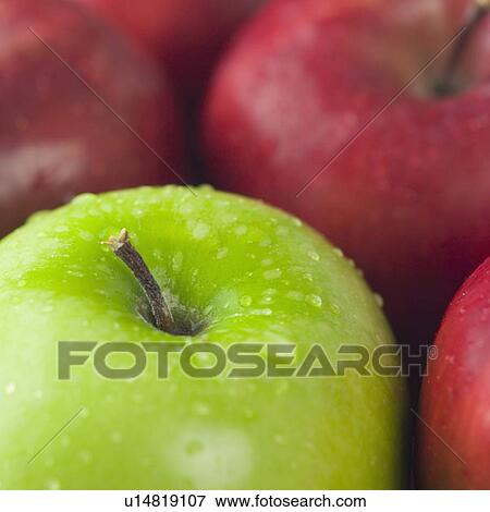 Stock Photo - Close-up of a wet granny smith apple with three red apples. Fotosearch
