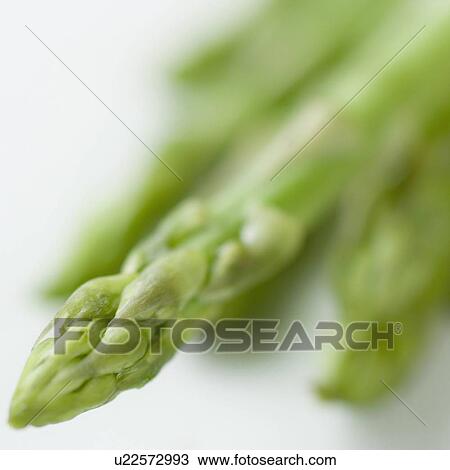 Close-up of asparagus View Large Photo Image Stock Image - Close-up of asparagus. Fotosearch