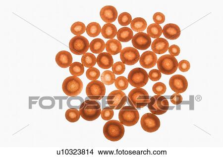 Close-up of slices of carrot View Large Photo Image Picture - Close-up of slices of carrot. Fotosearch