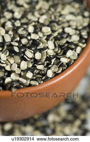 Picture - Close-up of Split Black grams in a bowl. Fotosearch