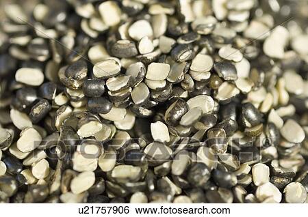 Stock Photograph - Close-up of Split Black grams. Fotosearch