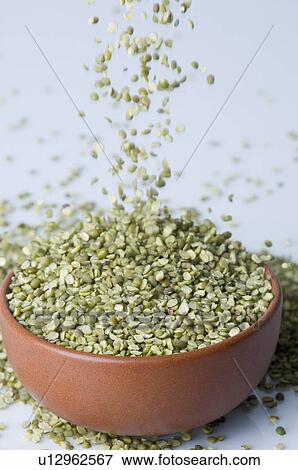 Close-up of Split Green grams falling into a bowl View Large Photo Image Stock Photo - Close-up of Split Green grams falling into a bowl. Fotosearch