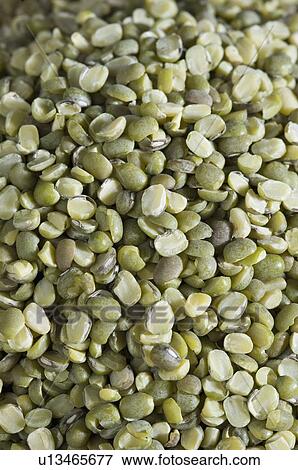 Close-up of Split Green grams View Large Photo Image Stock Photo - Close-up of Split Green grams. Fotosearch