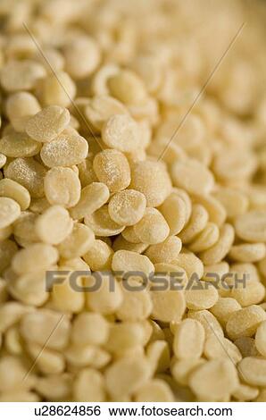 Close-up of Split Green grams View Large Photo Image Stock Photograph - Close-up of Split Green grams. Fotosearch