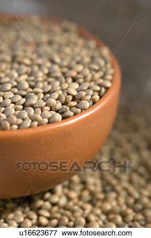 Close-up of Split Red lentils in a bowl View Large Photo Image Stock Photo - Close-up of Split Red lentils in a bowl. Fotosearch