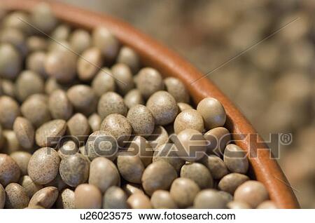 Stock Photography - Close-up of Split Red lentils in a bowl. Fotosearch