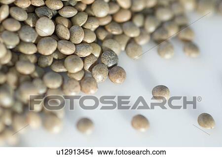 Close-up of Split Red lentils View Large Photo Image Picture - Close-up of Split Red lentils. Fotosearch