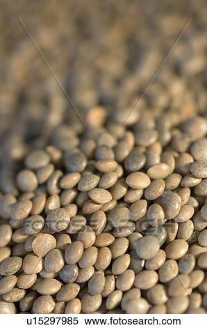 Close-up of Split Red lentils View Large Photo Image Stock Photography - Close-up of Split Red lentils. Fotosearch
