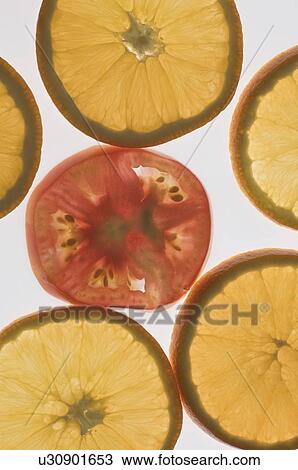 Stock Image - Close-up of a tomato slice between orange slices. Fotosearch