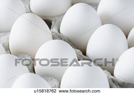 Close-up of eggs in an egg carton View Large Photo Image Stock Image - Close-up of eggs in an egg carton. Fotosearch