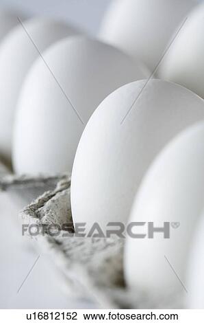 Close-up of eggs in an egg carton View Large Photo Image Stock Image - Close-up of eggs in an egg carton. Fotosearch