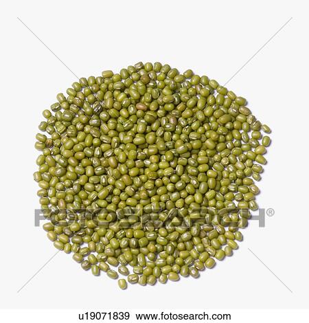 Stock Photo - Close-up of mung beans. Fotosearch